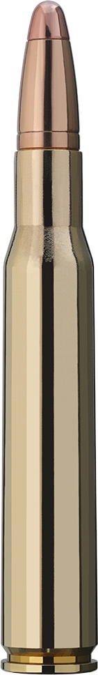 30-06 RWS HMK 11.7 g