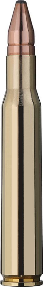 30-06 RWS DK 10.7g