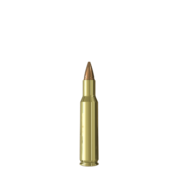 222 Rem. SAX KJG-HSR 3.0 g / 46.3 grs. 