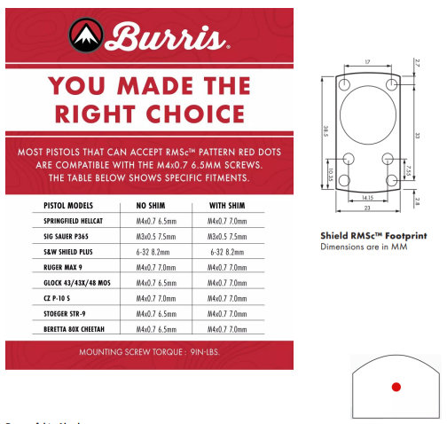 Point rouge Burris FastFire™ C 6-MOA Dot 