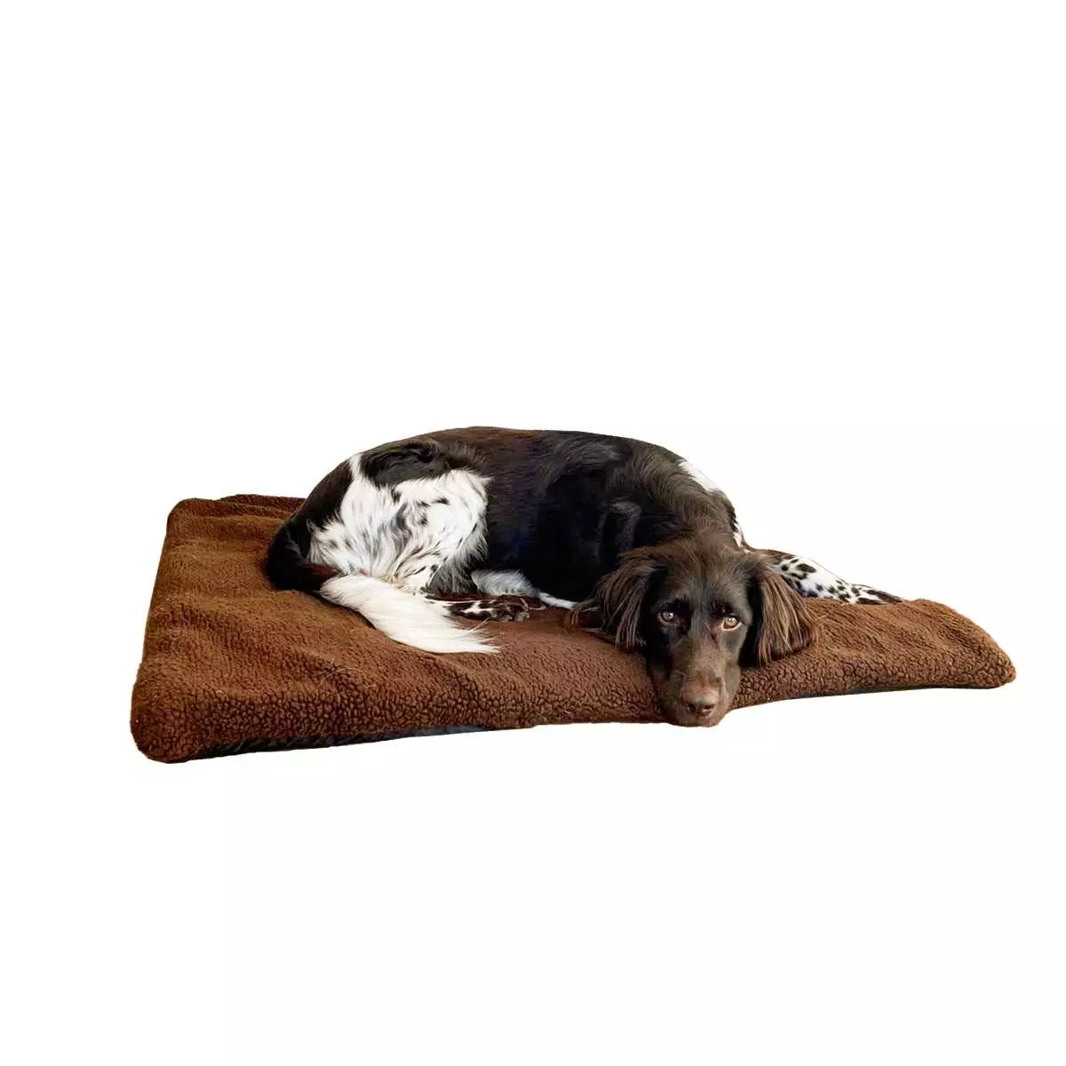 Couverture pour chien Blaser, 70cm x 100cm, brun 