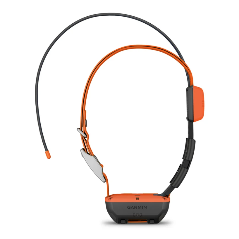 Halsband Garmin Alpha T20K GPS collar 
