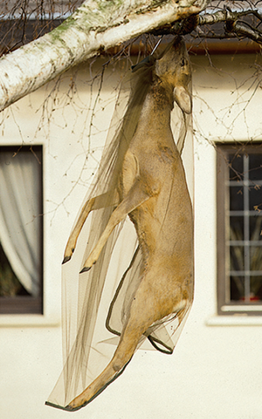 Filets antimoustique 170 x 110 cm, chevreuil