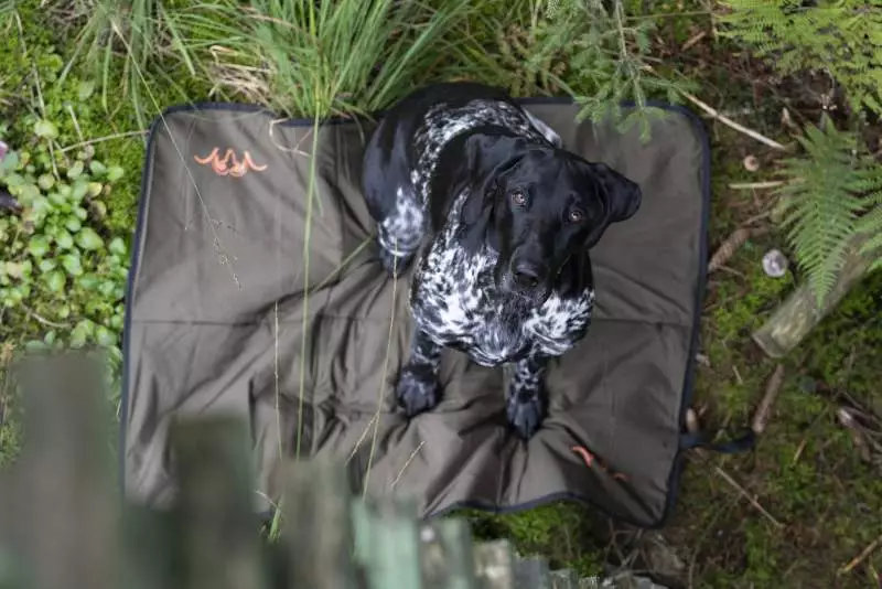 Couverture pour chien Blaser HunTec Camo, 70cm x 100cm 